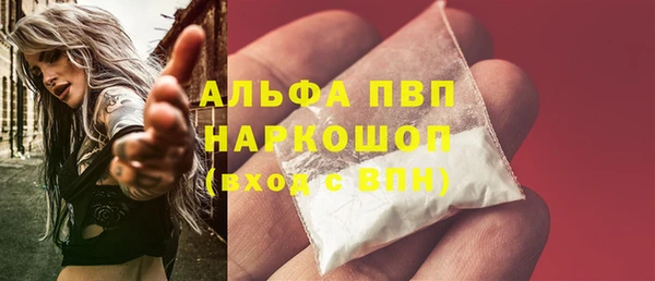 PSILOCYBIN Волосово