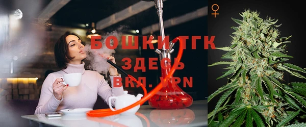 стафф Володарск