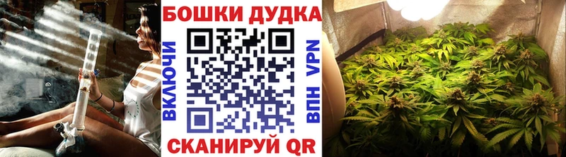 Бошки марихуана планчик  Южно-Сухокумск 